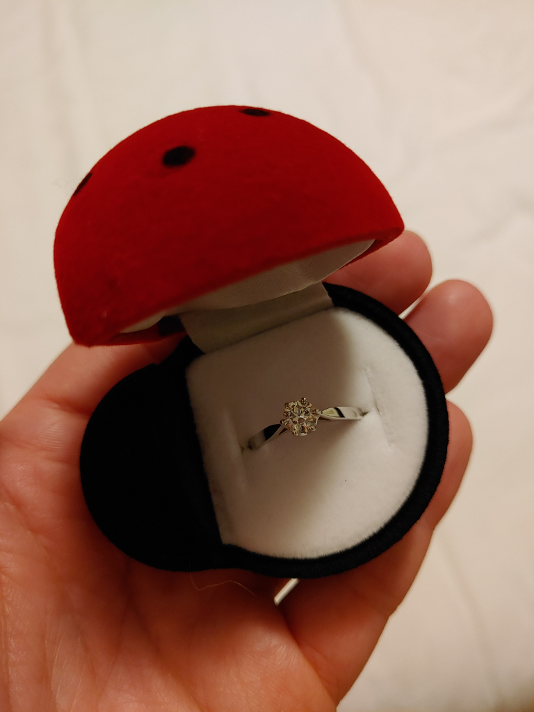 Detail na zásnubní prsten v krabičce se vzorem berušky